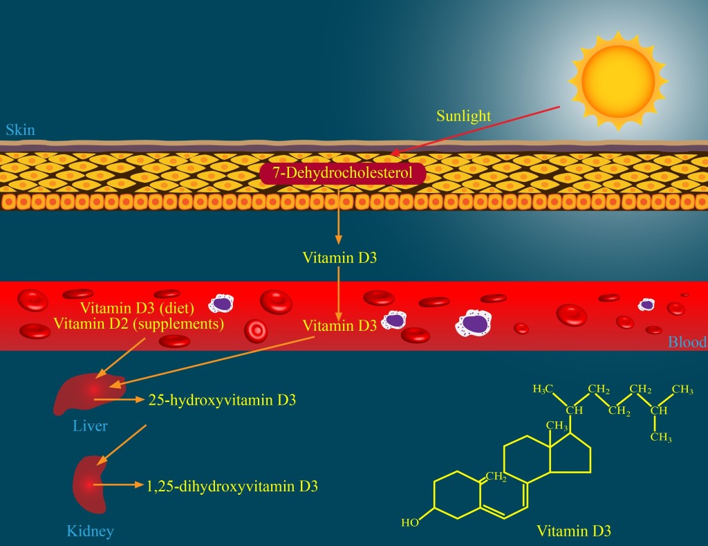 vitamin D